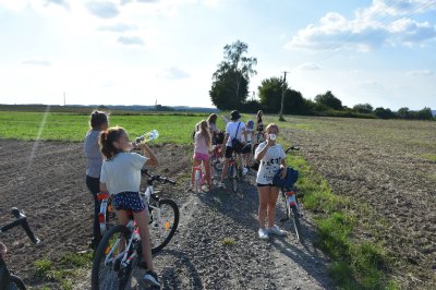 Podsumowanie projektu